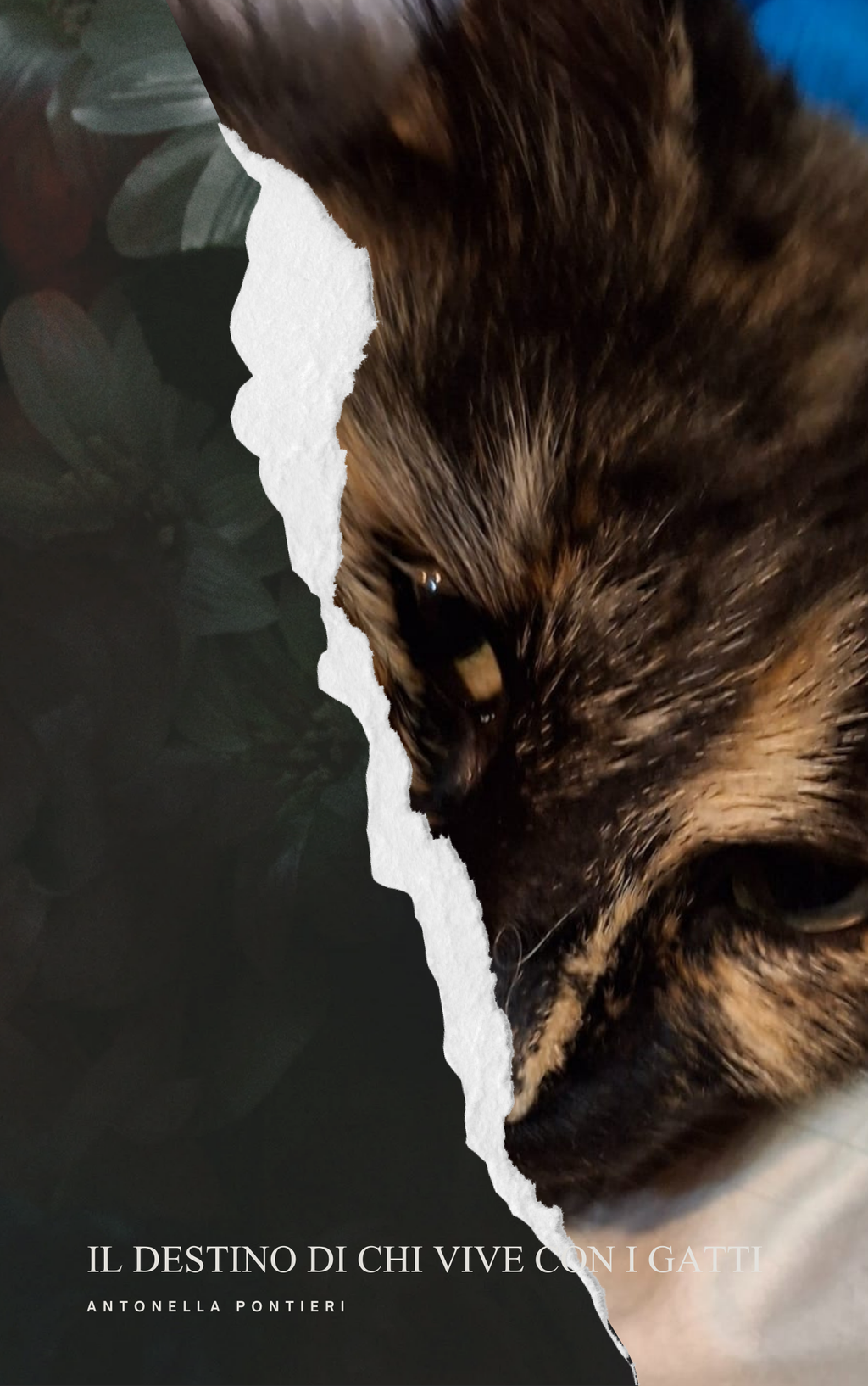 Ebook – Il destino di chi vive con i gatti