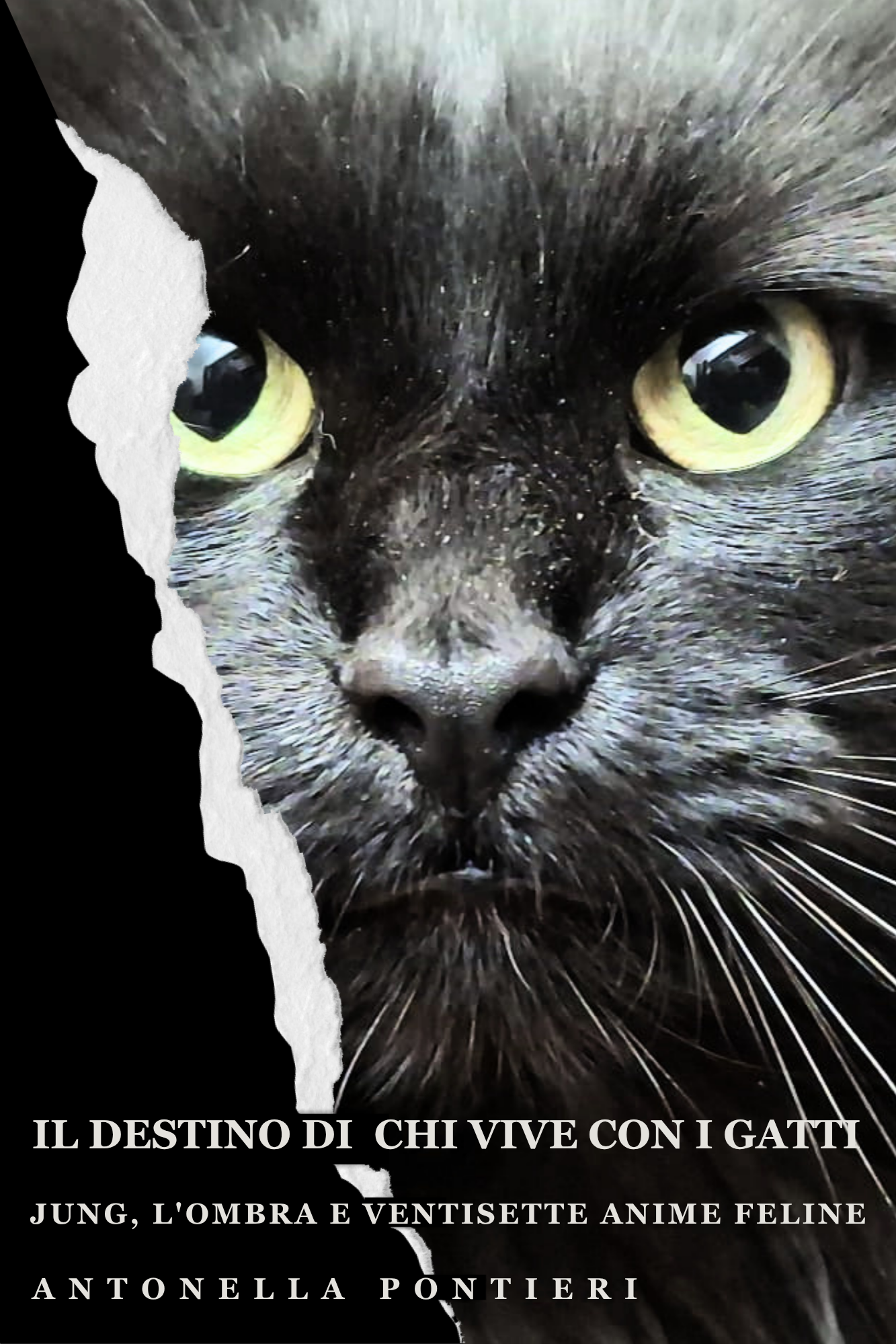 Ebook – Il destino di chi vive con i gatti