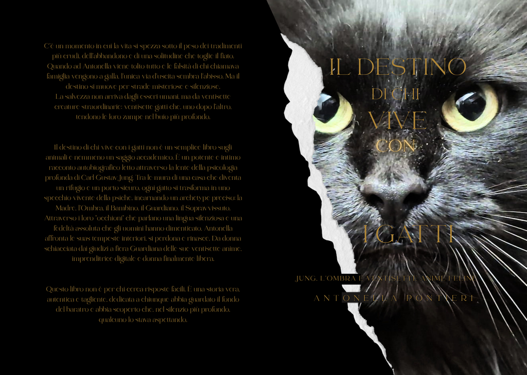 Ebook – Il destino di chi vive con i gatti