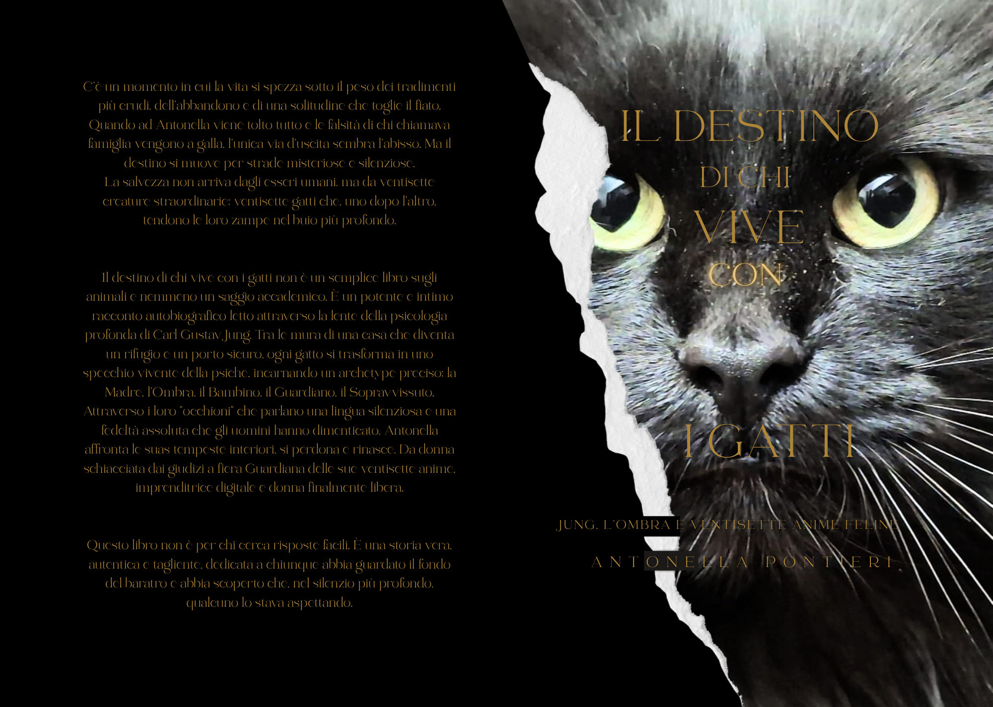 Ebook – Il destino di chi vive con i gatti
