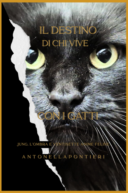 Cartaceo - Il destino di chi vive con i gatti - Edizione Cartacea