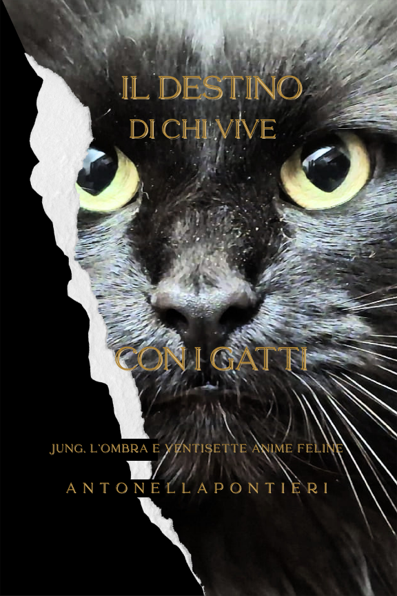 Ebook – Il destino di chi vive con i gatti
