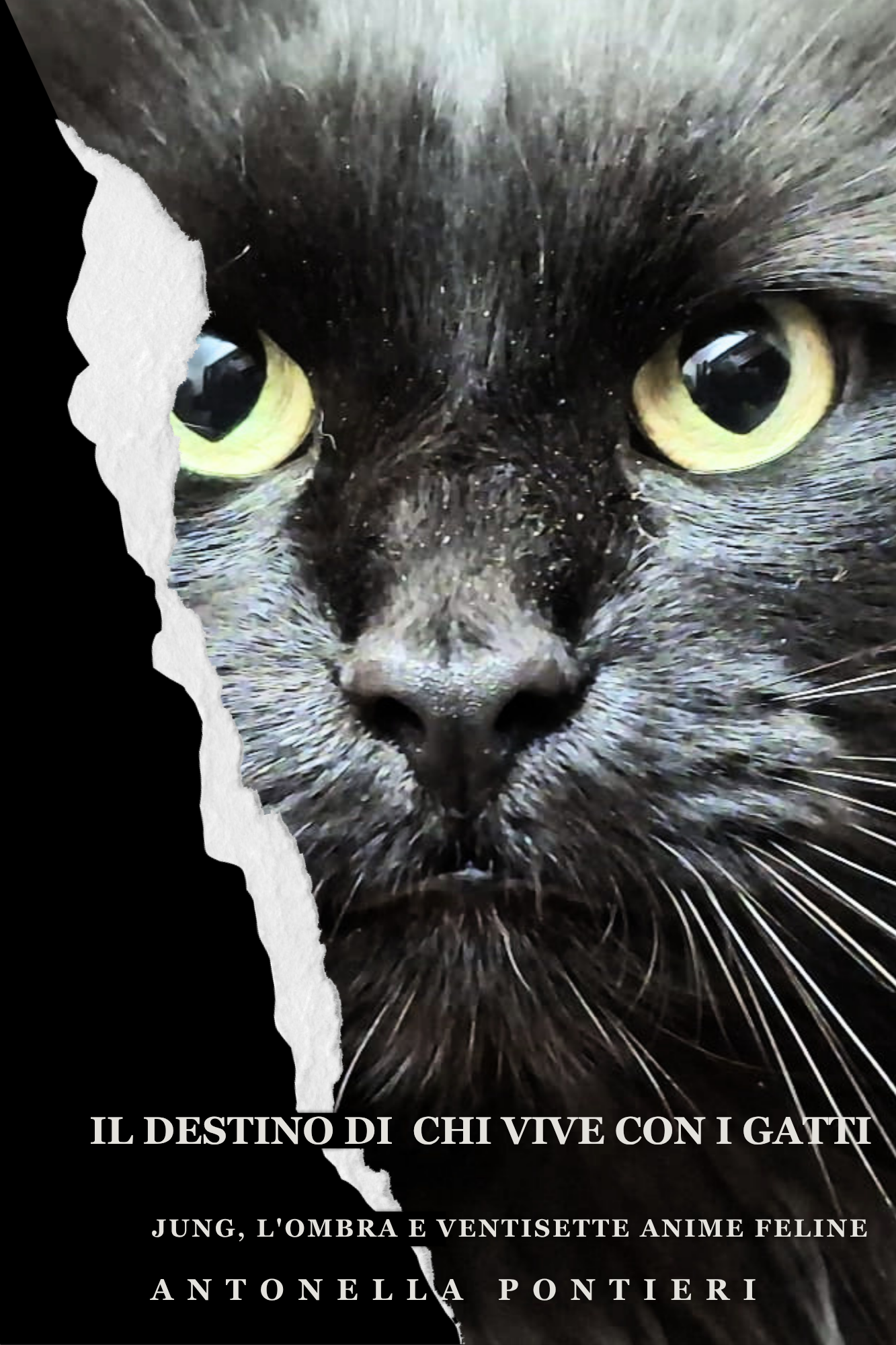 Ebook – Il destino di chi vive con i gatti
