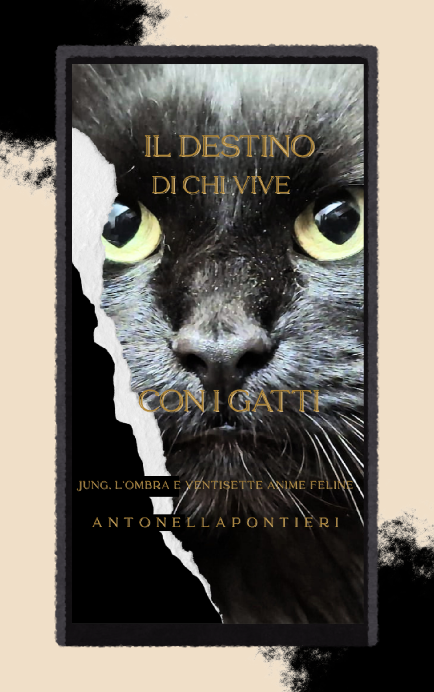 Il destino di chi vive con i gatti -  Cartaceo